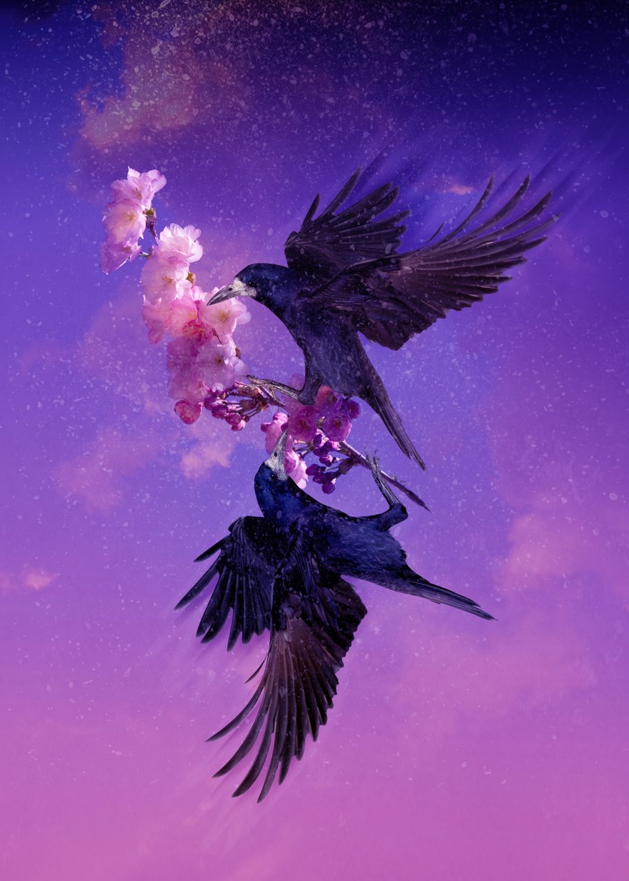 Bird Kingdom 5, 2018 (digital fotokonst) av Johan Lilja