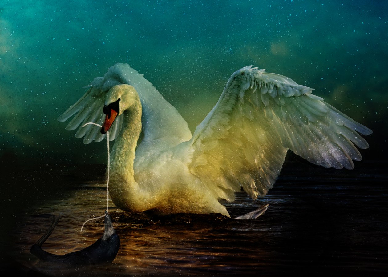 Bird Kingdom 6, 2018 (digital fotokonst) av Johan Lilja