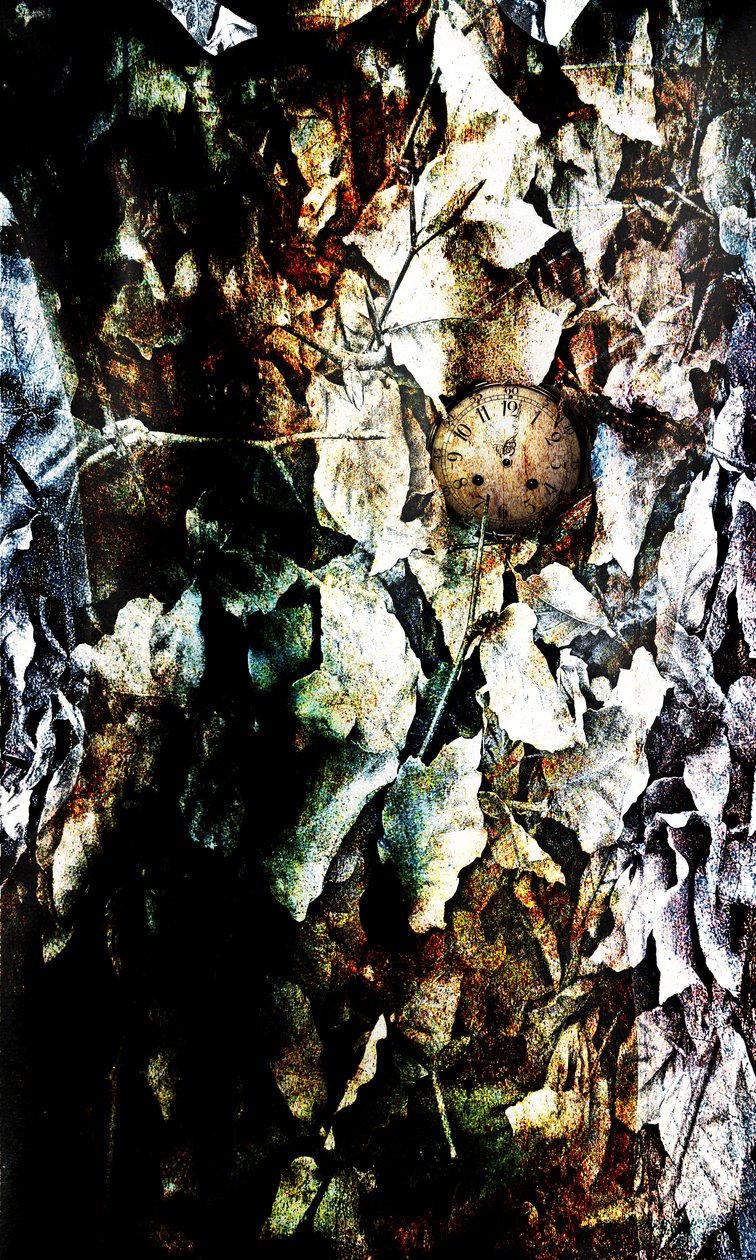 Heart, 2012 (fotomanipulation) av Johan Lilja