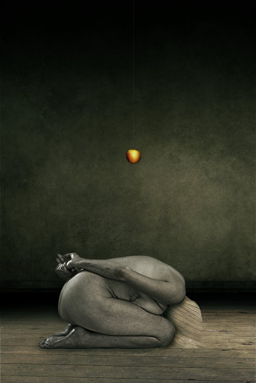 Hide my self, 2013 (fotomanipulation) av Johan Lilja