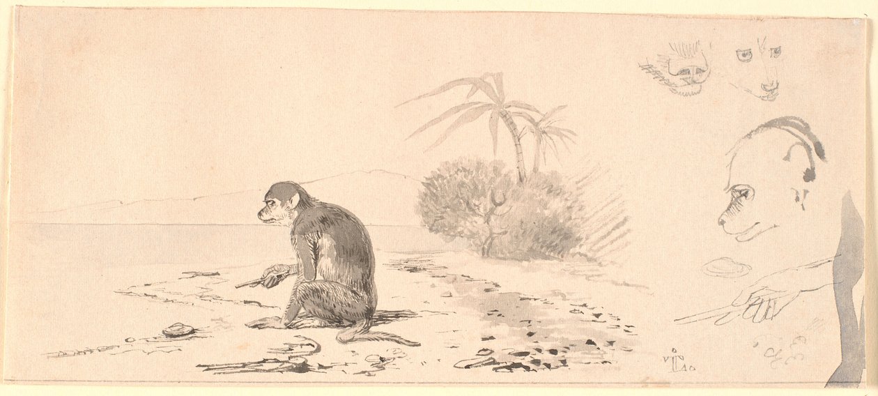 Apkatten. T.h. studier av aphuvuden m.m. av Johan Thomas Lundbye