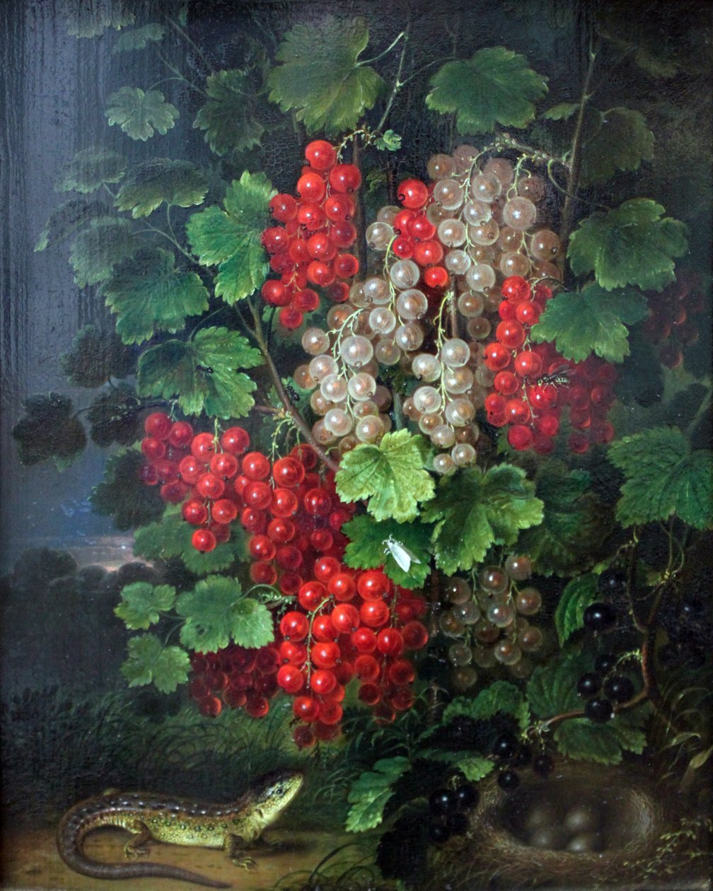 Röda vinbär av Johann Adam Schlesinger