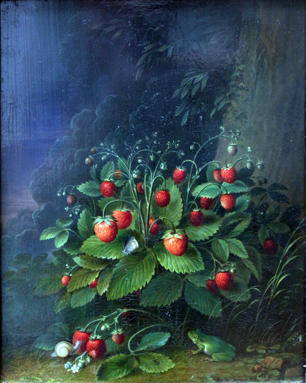 Jordgubbar av Johann Adam Schlesinger