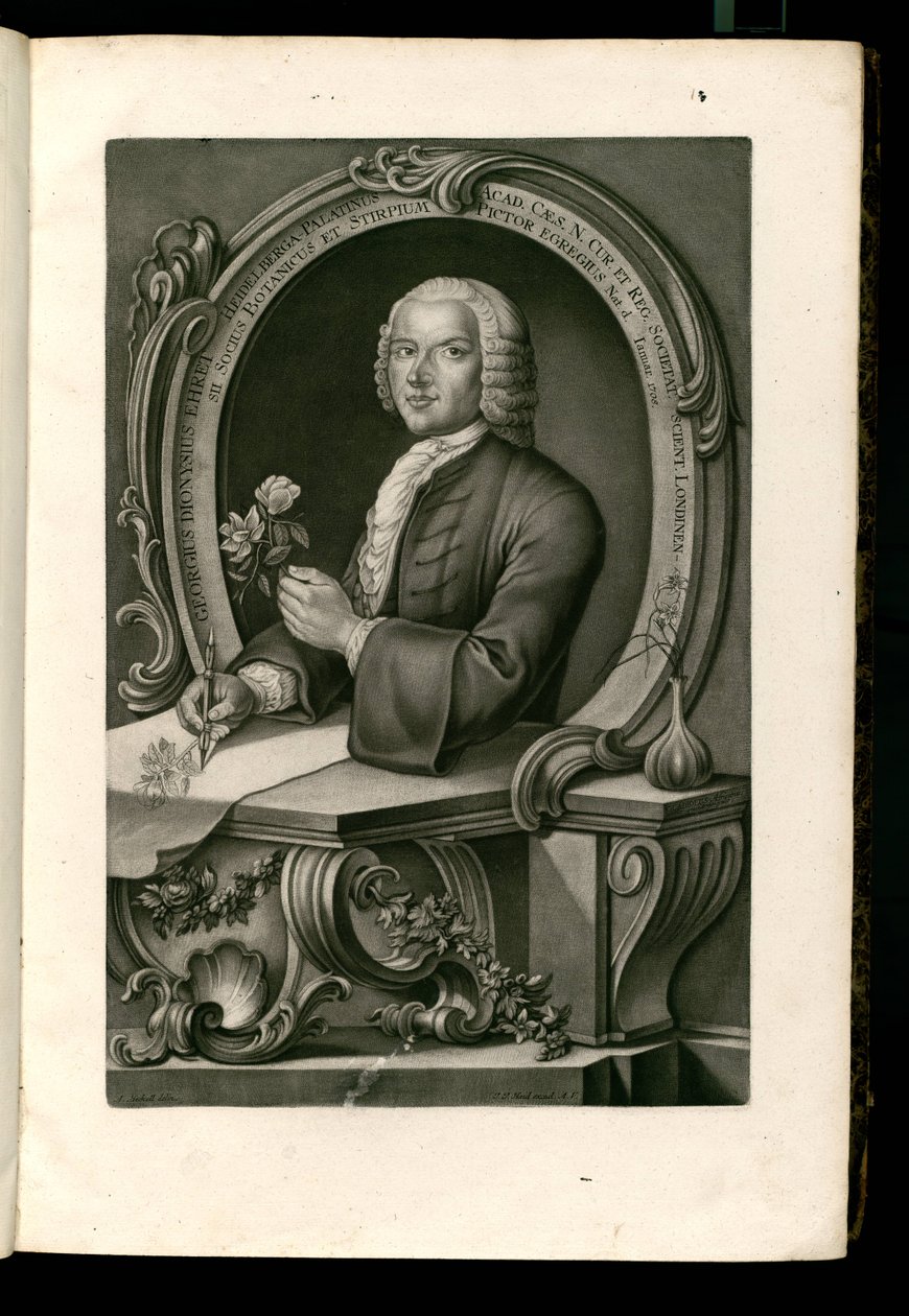 Georgius Dionysius Ehret av Johann Jakob Haid