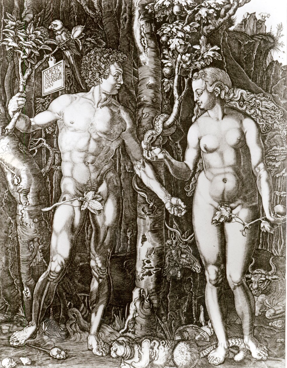 Adam och Eva, efter Albrecht Durer (1471-1528) av Johann Ladenspelder