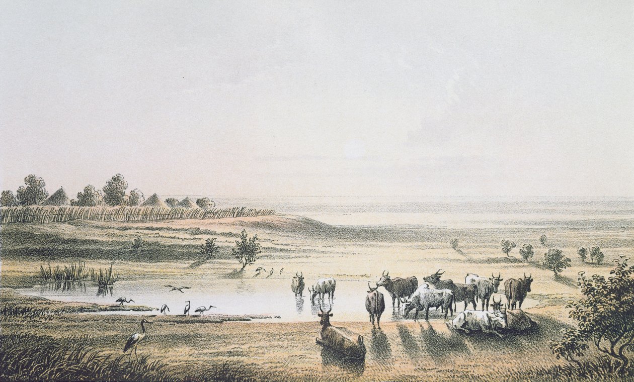 The Borders of Chad 1851, från 