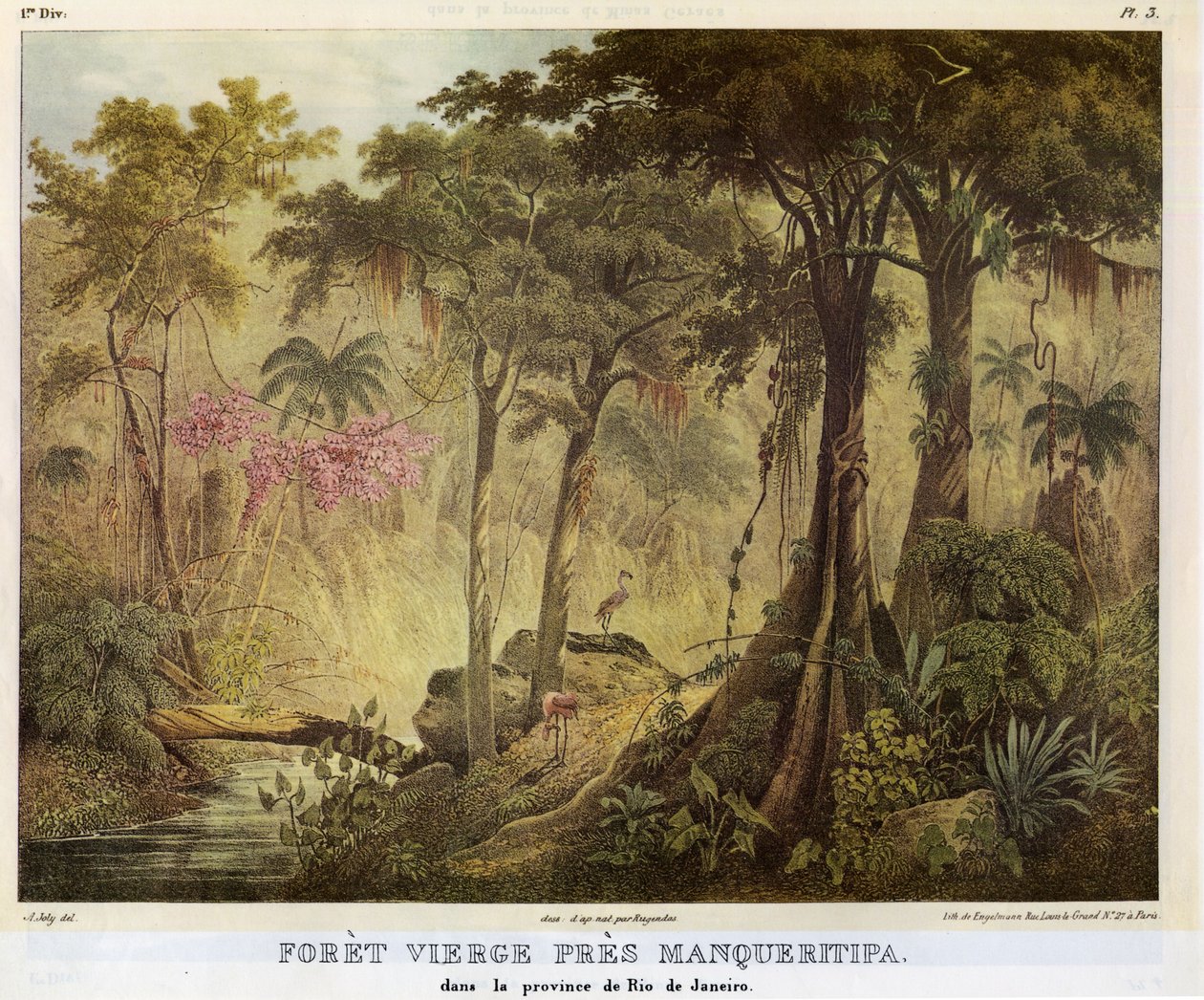 Forèt Vierge Près Manqueritipa av Johann Moritz Rugendas