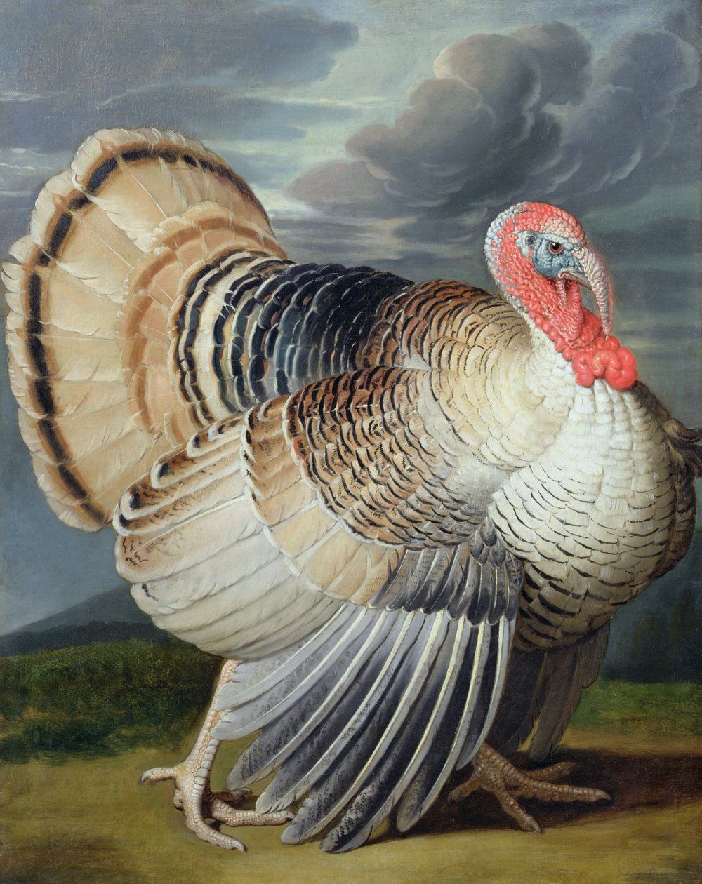 Porträtt av ett Turkiet av Johann Wenceslaus Peter Wenzal