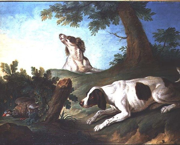 Spaniels sätter upp en rapphöna av Johann Michael Baader