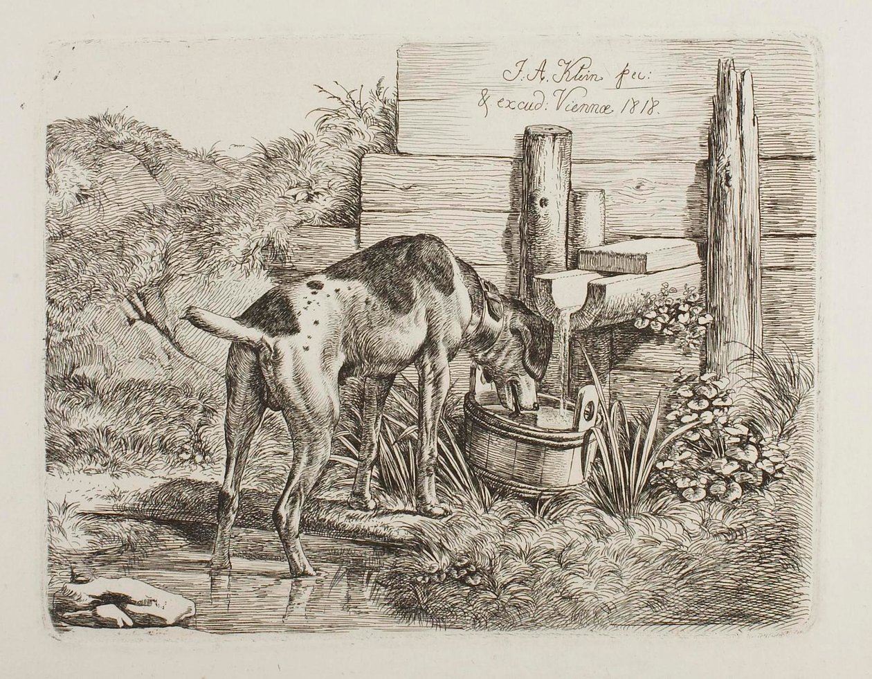 Dricksvatten för hundar av Johann Adam Klein