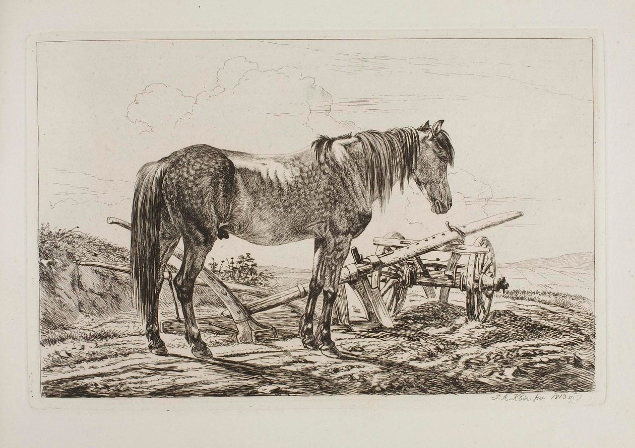 Häst vid en plog av Johann Adam Klein