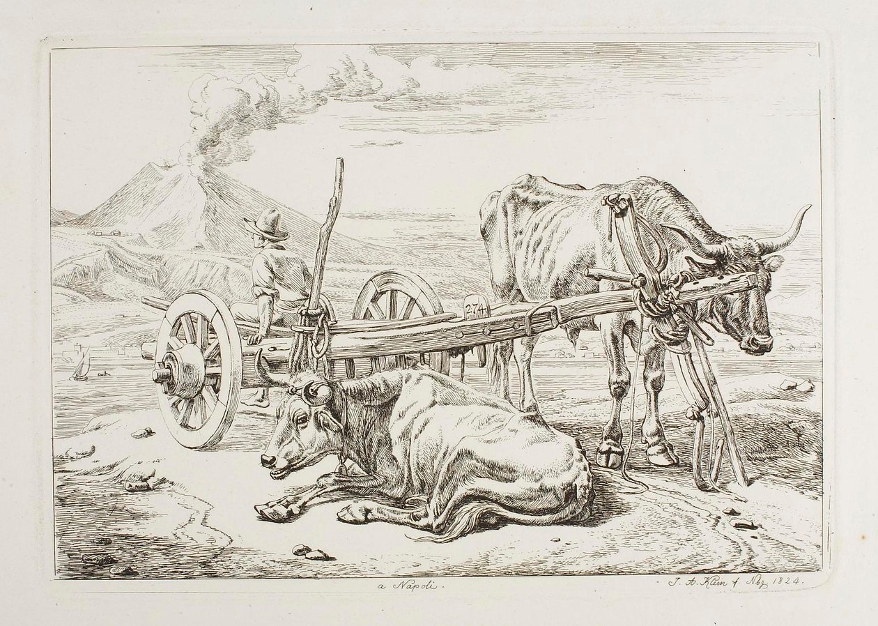 I Neapel (oxar och en kärra i Neapel) av Johann Adam Klein