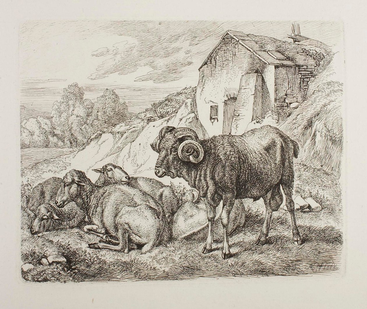 Får och lamm bakom ett hus av Johann Adam Klein