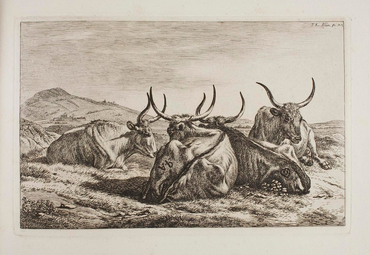 Liggande oxar av Johann Adam Klein