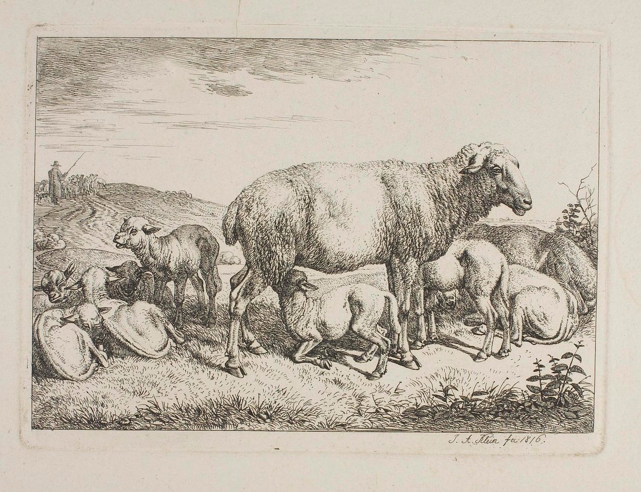 Får med lamm av Johann Adam Klein