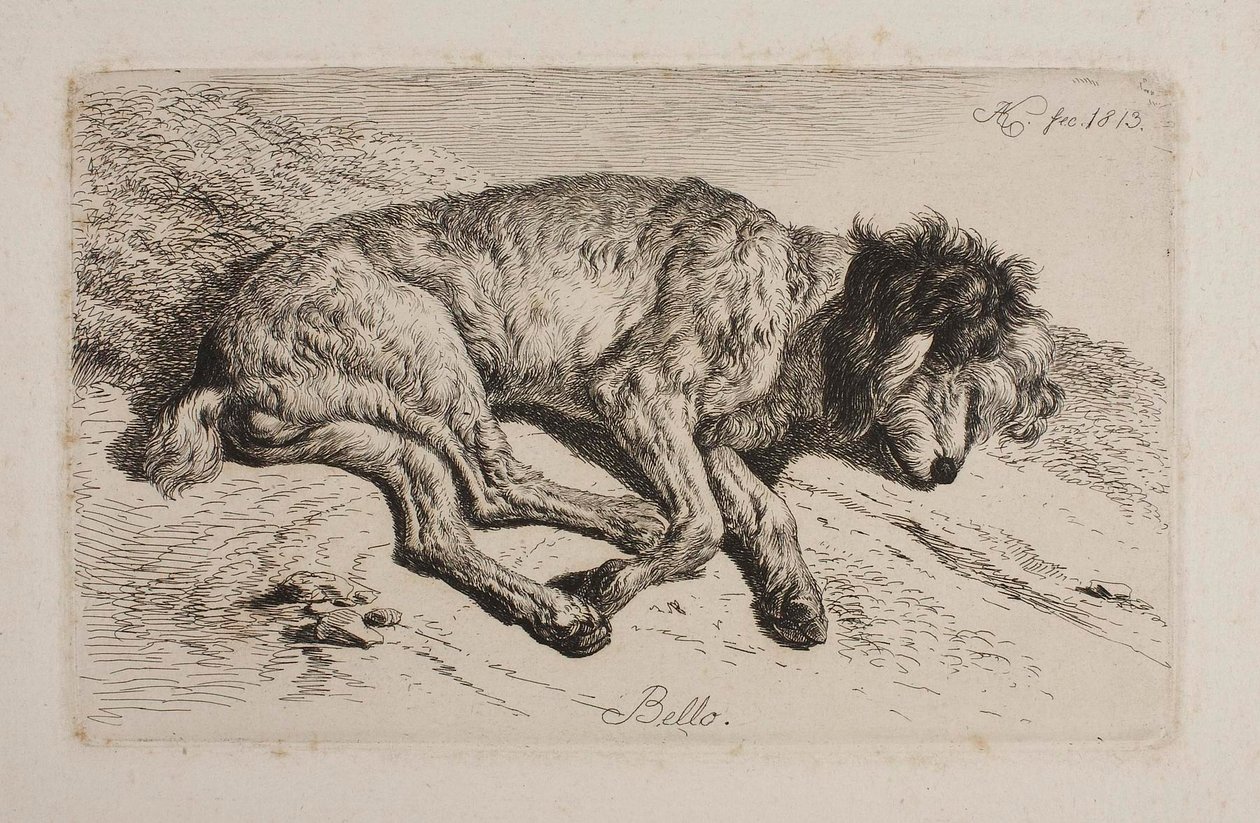 Sovande hund, Bello av Johann Adam Klein