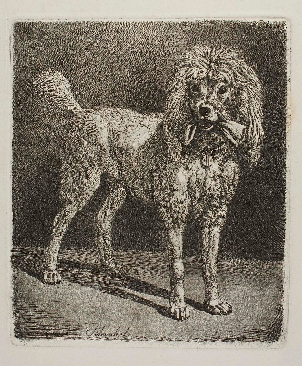 Pudeln Schwalerl av Johann Adam Klein