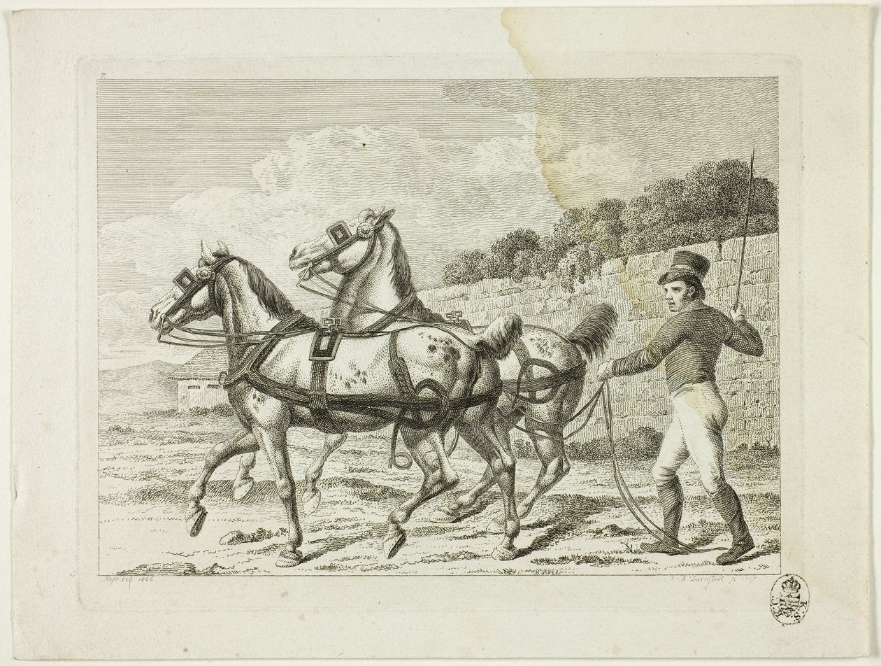 Ridskola och hästar av Johann Adolph Darnstedt