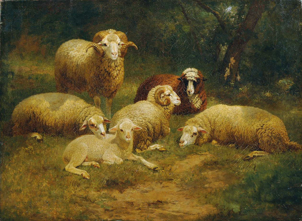 får av Johann Baptist Hofner