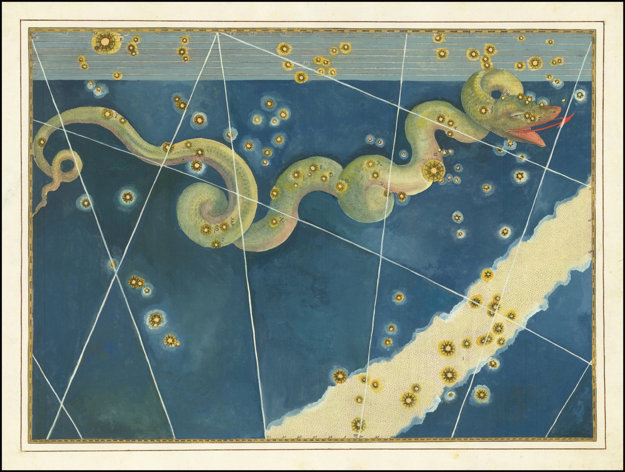 Hydra - Johann Bayer av Johann Bayer