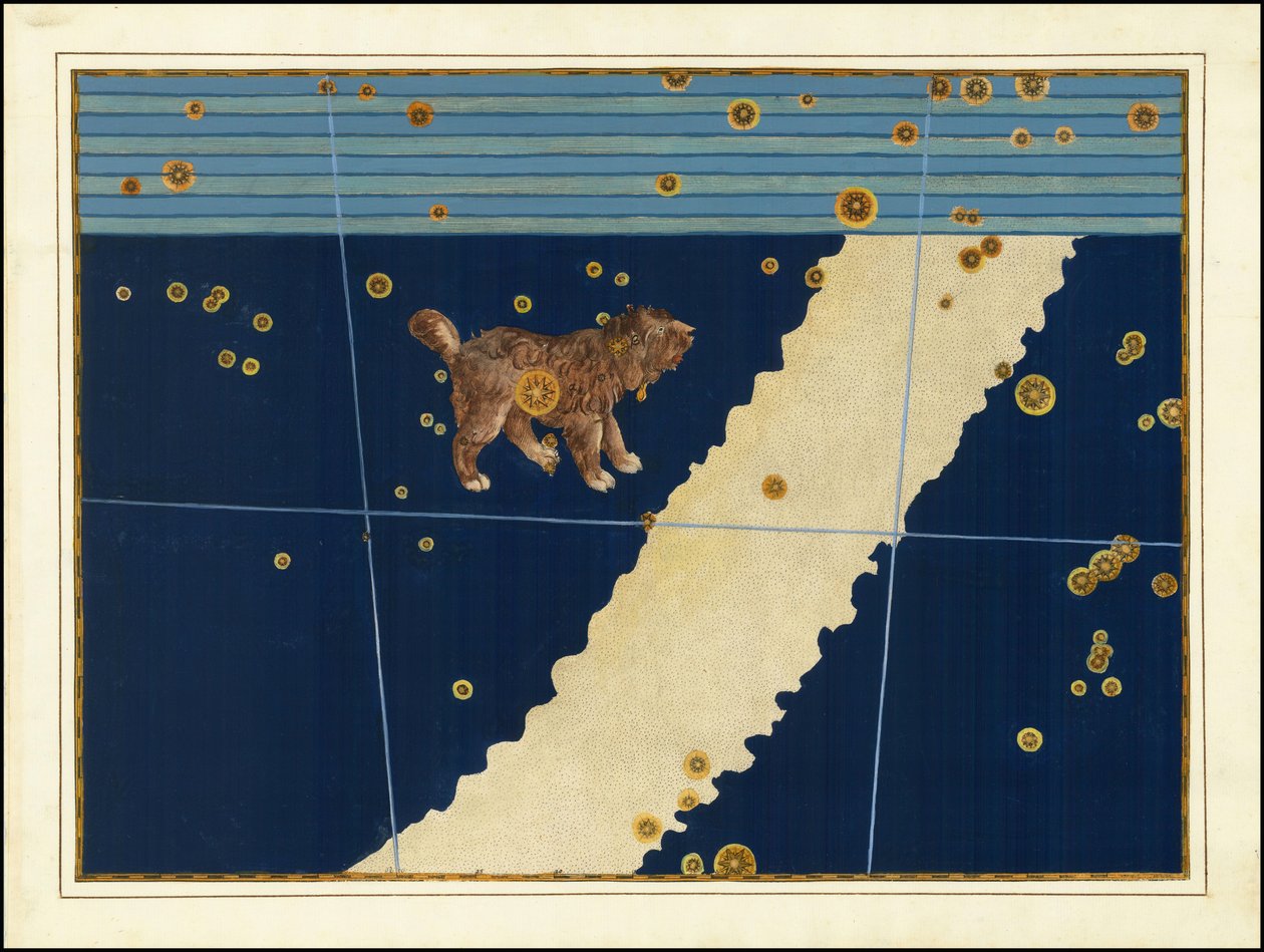 Johann Bayer, Canis Minor av Johann Bayer