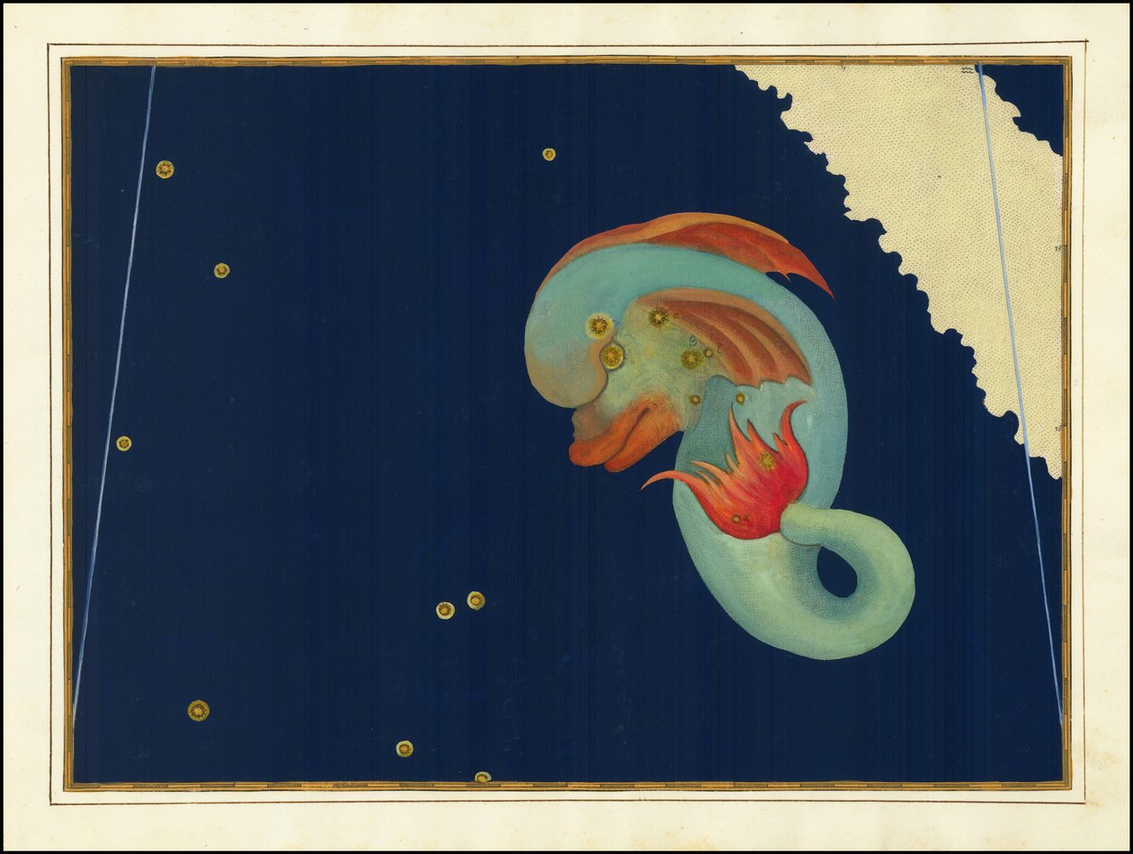 Johann Bayer, Delphinus av Johann Bayer