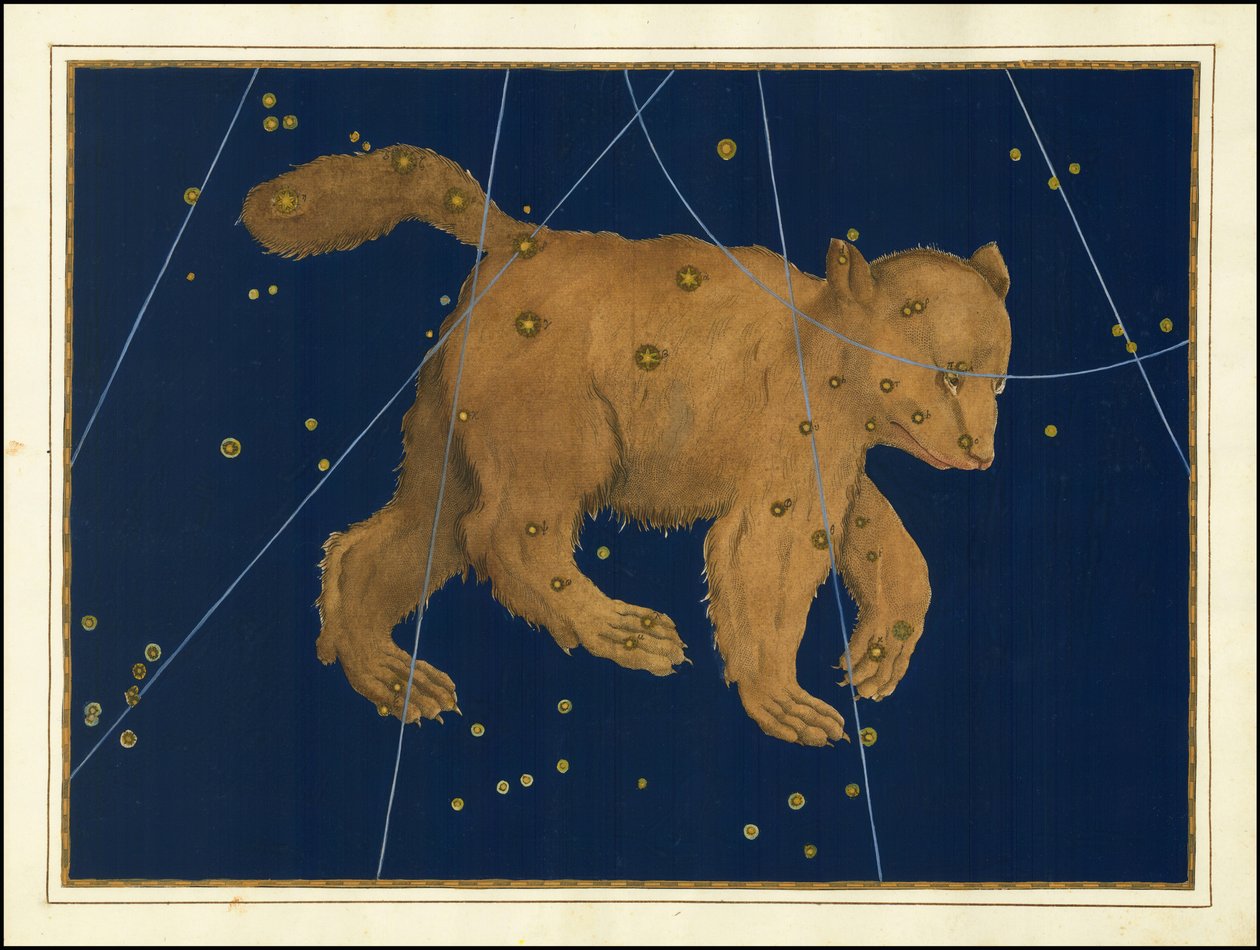 Johann Bayer, Ursa Major av Johann Bayer