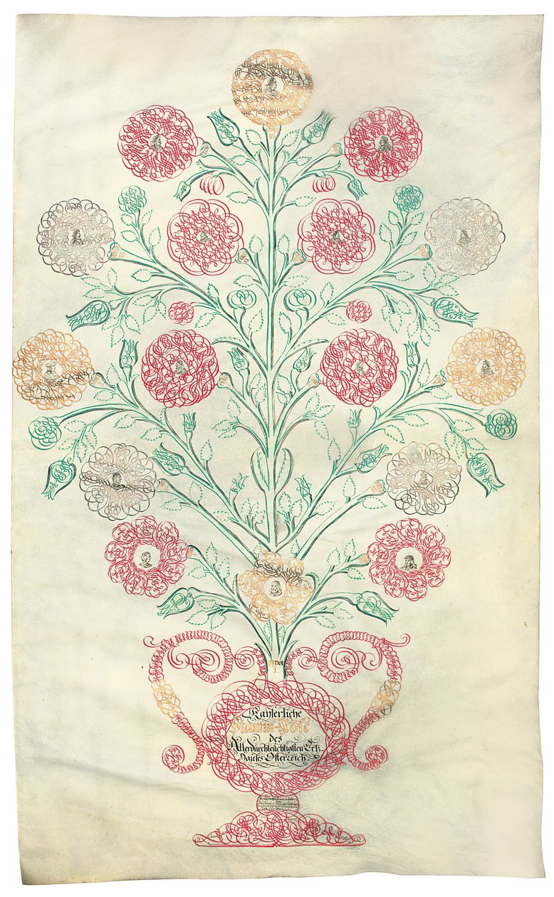 "Rosen", ett släktträd som presenterades för kejsaren Karl VI, 1731 av Johann Carl Paricius