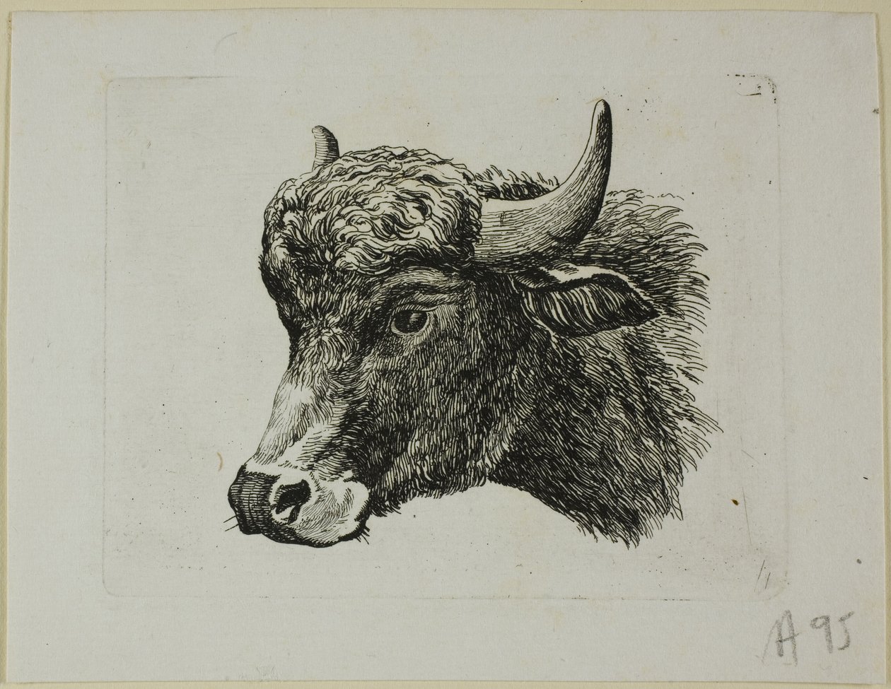 Buffalo Head Facing Left, från Die Zweite Thier Folge av Johann Christian Reinhart