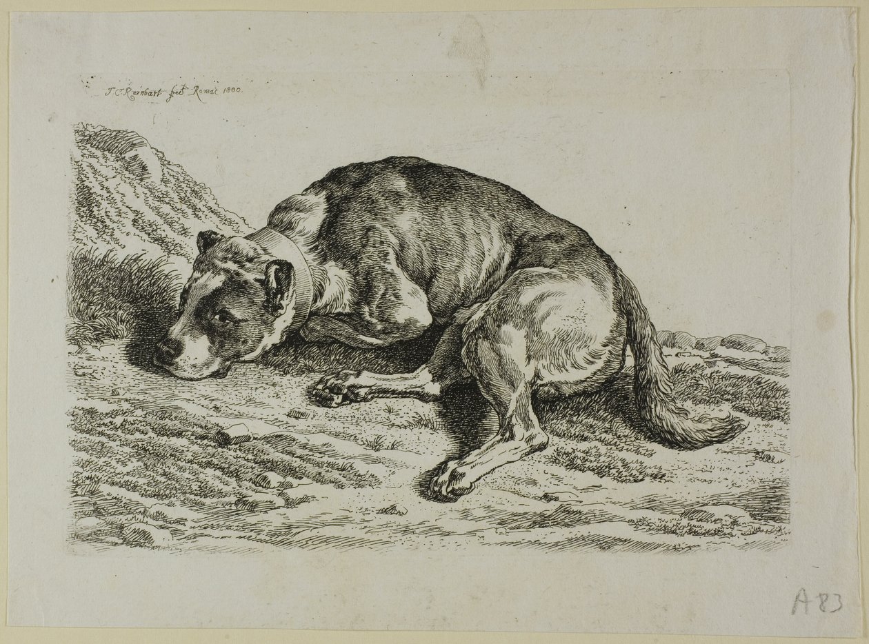 Dog Laying Down, från The Second Succession of the Thief av Johann Christian Reinhart
