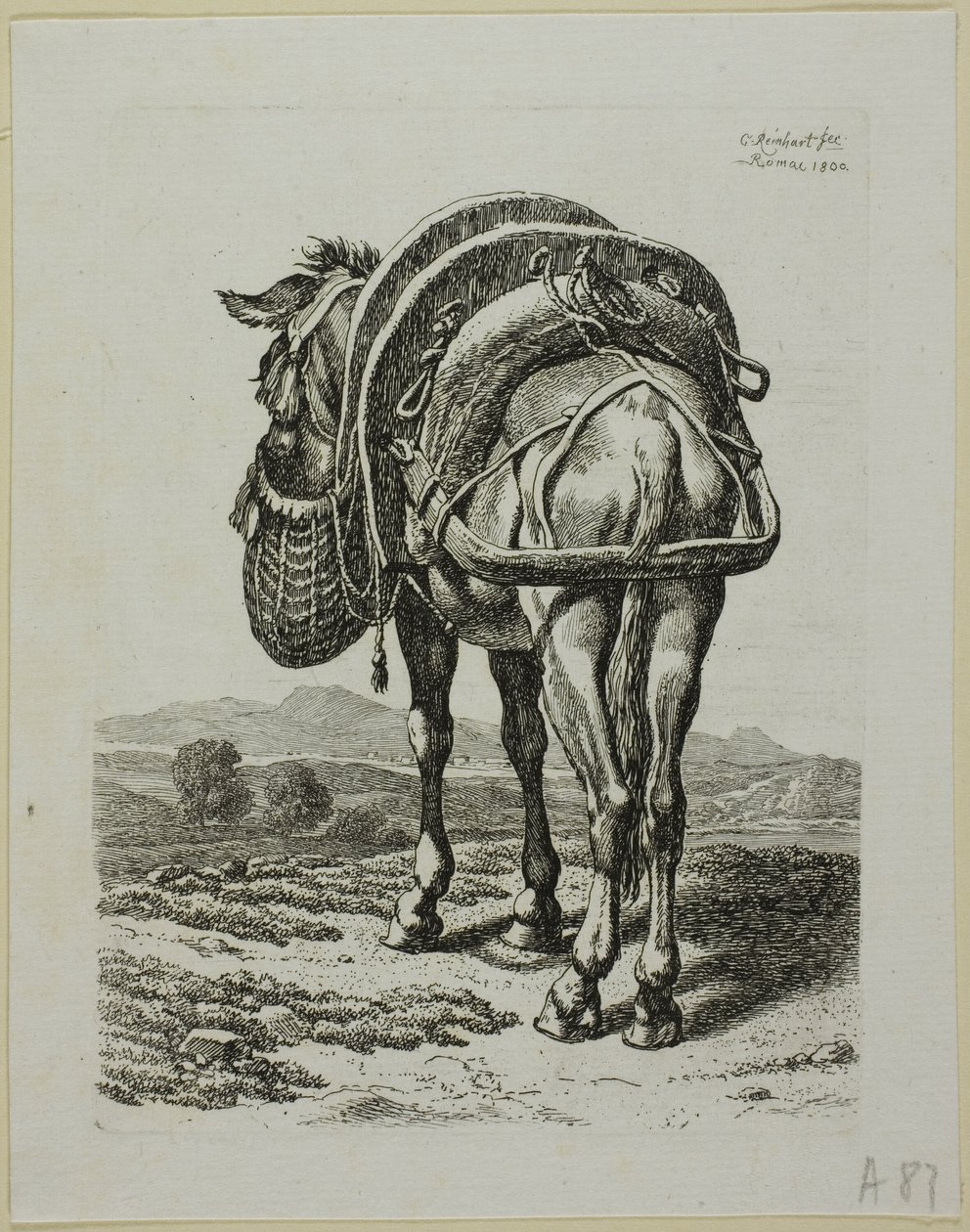 Feeding Mule - Rear, från Die Zweite Thier Folge av Johann Christian Reinhart