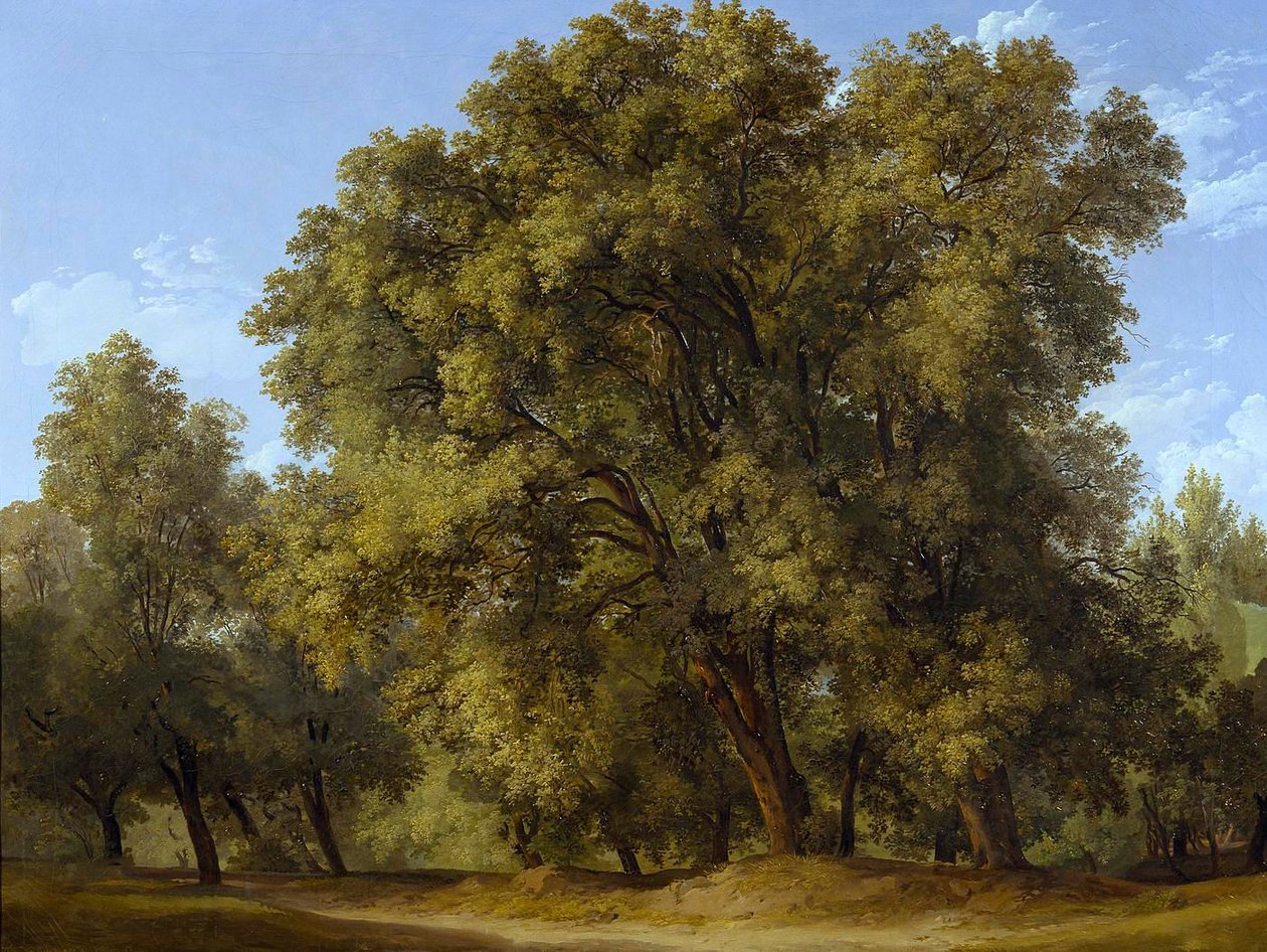 Skogsmiljö av Johann Christian Reinhart