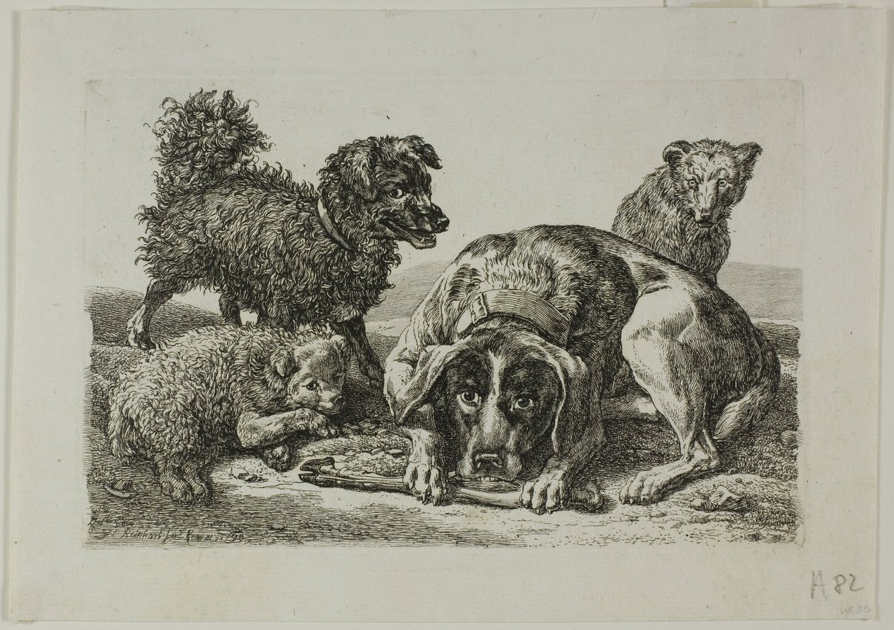 Fyra hundar, från Die Zweite Thier Folge av Johann Christian Reinhart
