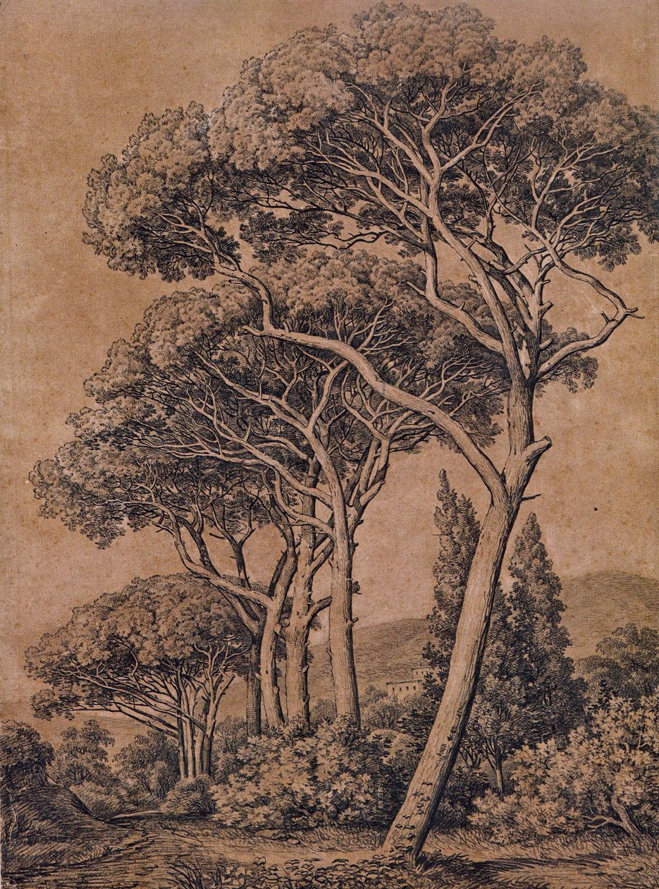 J C Reinhart Paraplytallar 1791 av Johann Christian Reinhart
