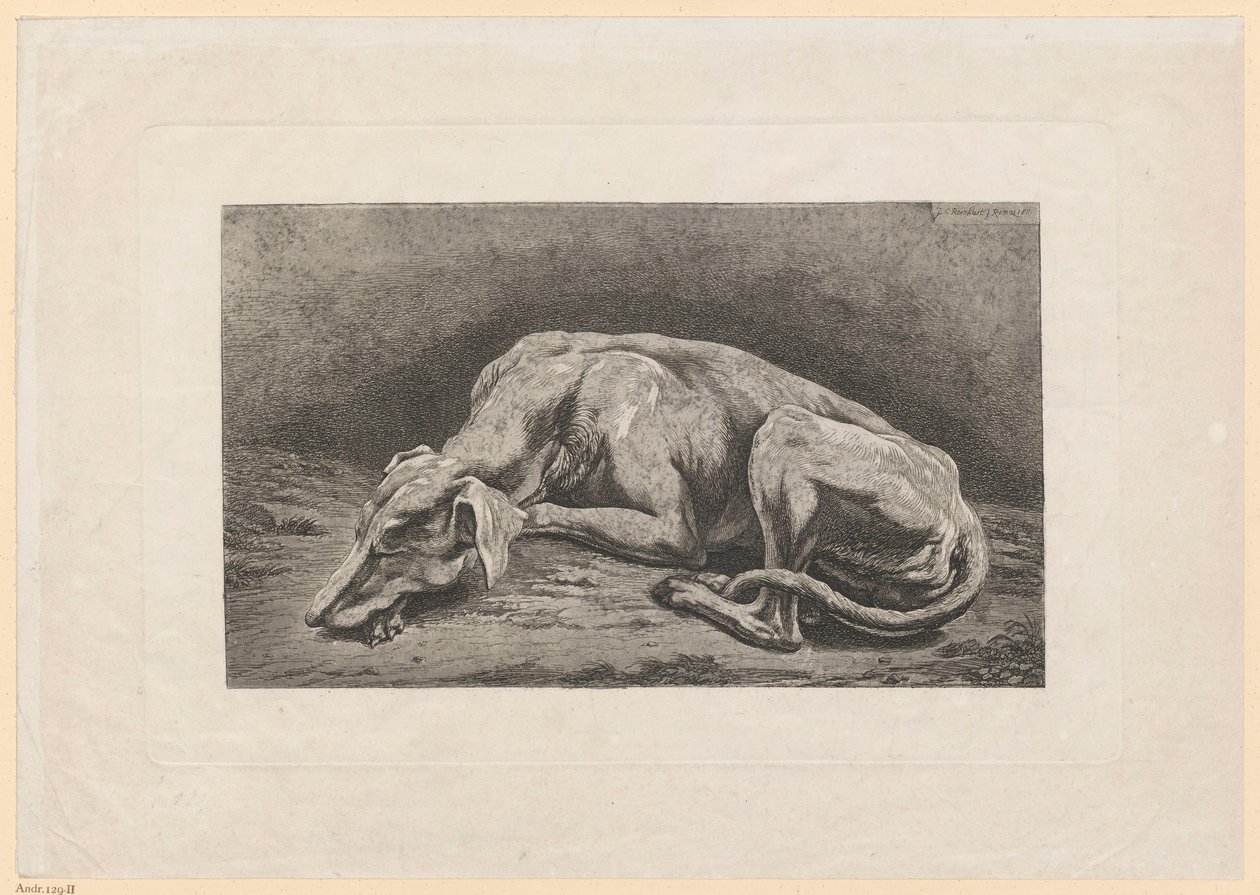 Sovande vinthund av Johann Christian Reinhart