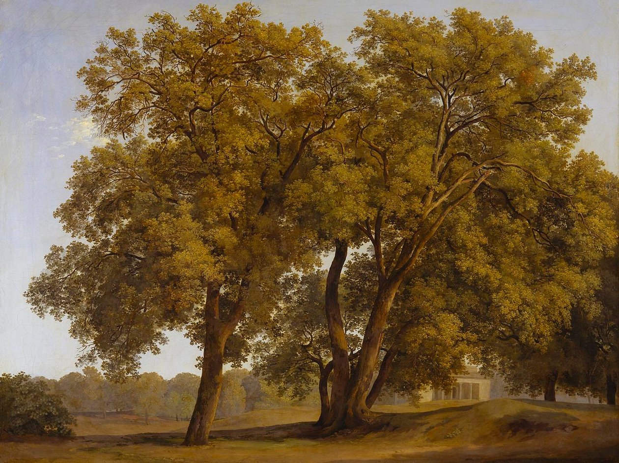 Träd i Villa Borghese-parken av Johann Christian Reinhart