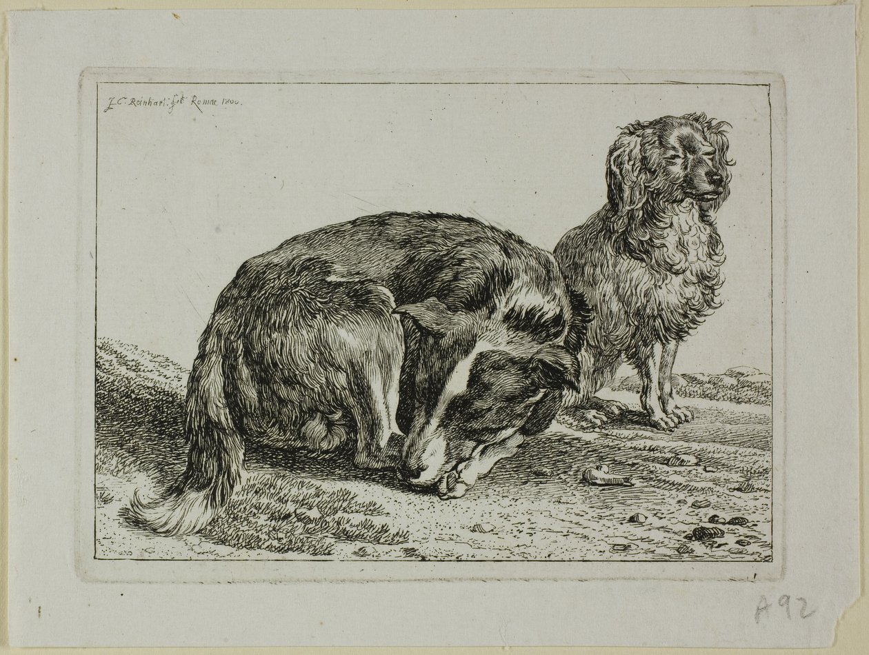Two Dogs Resting, från Die Zweite Thierfolge av Johann Christian Reinhart