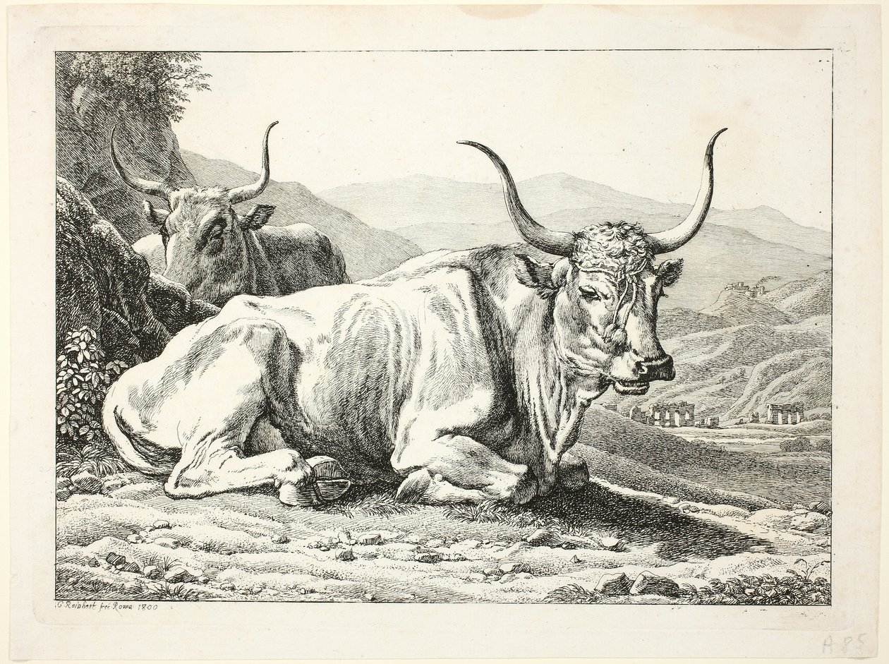 Två romerska tjurar som vilar, från Die Zweite The Erfolge av Johann Christian Reinhart