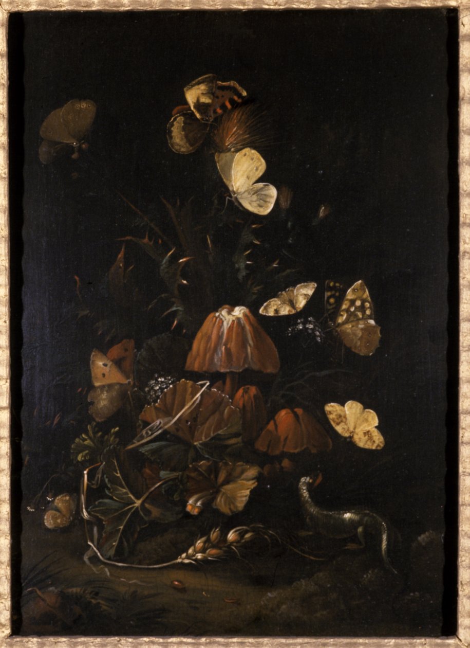 Blommor med fjärilar och ödla (olja på ekträ) av Johann Christian Thomas Winck