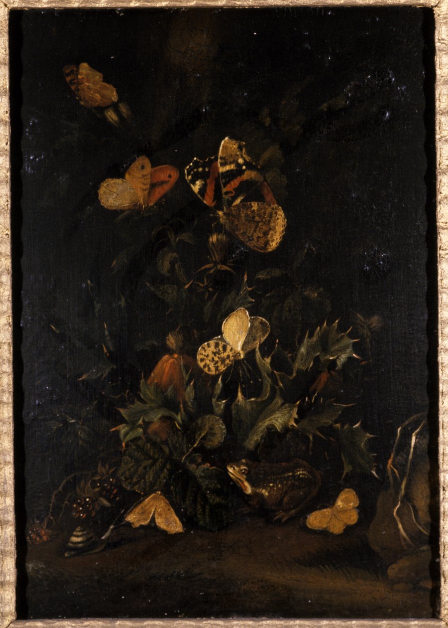 Blommor med fjärilar och padda (olja på ekträ) av Johann Christian Thomas Winck
