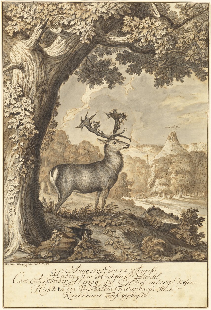 En hjort under en mäktig ek av Johann Elias Ridinger