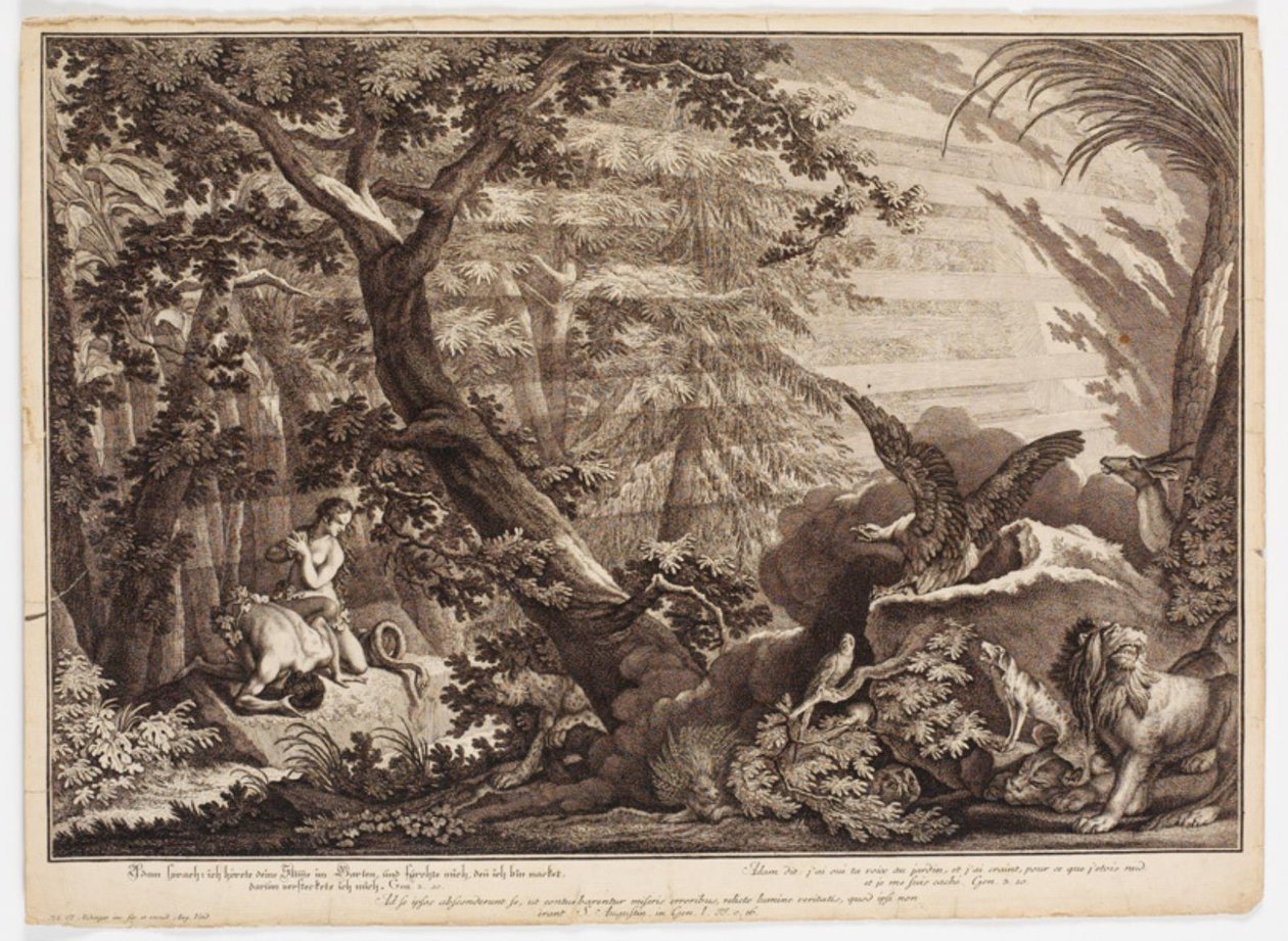 Adam och Eva upptäcker att de är nakna av Johann Elias Ridinger