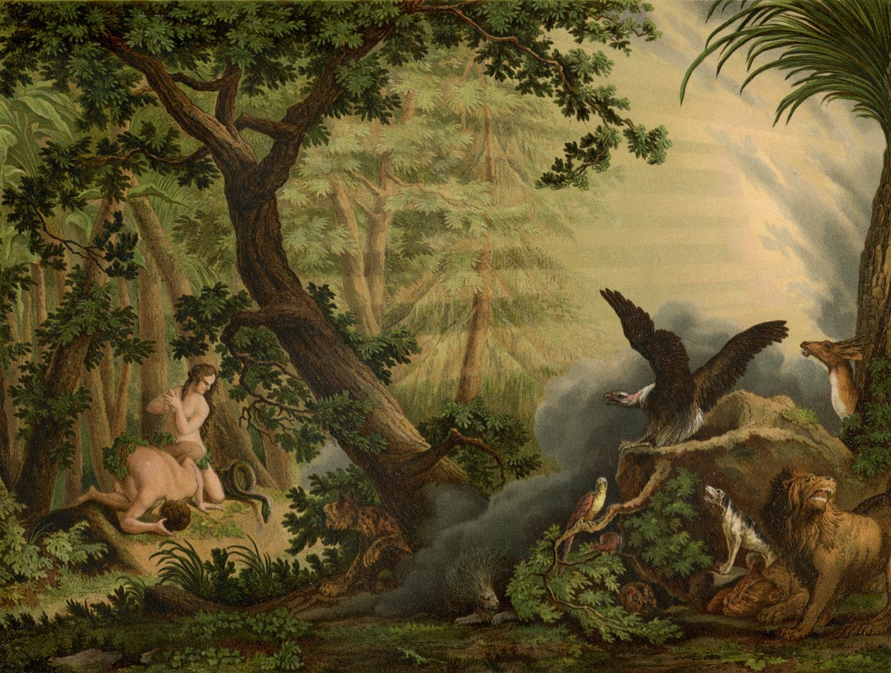 Fallet av Johann Elias Ridinger or Riedinger