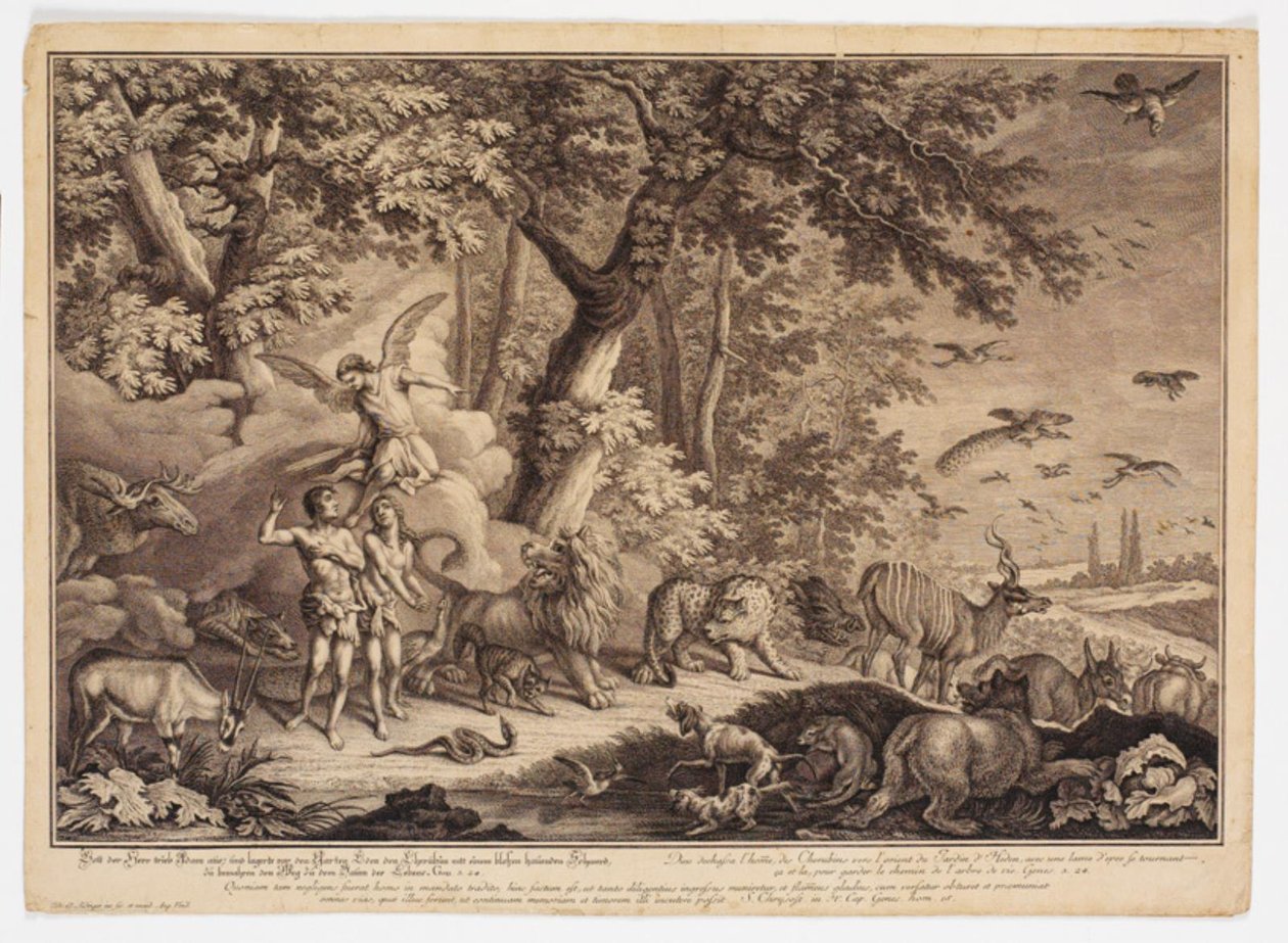 Utvisningen från paradiset av Johann Elias Ridinger