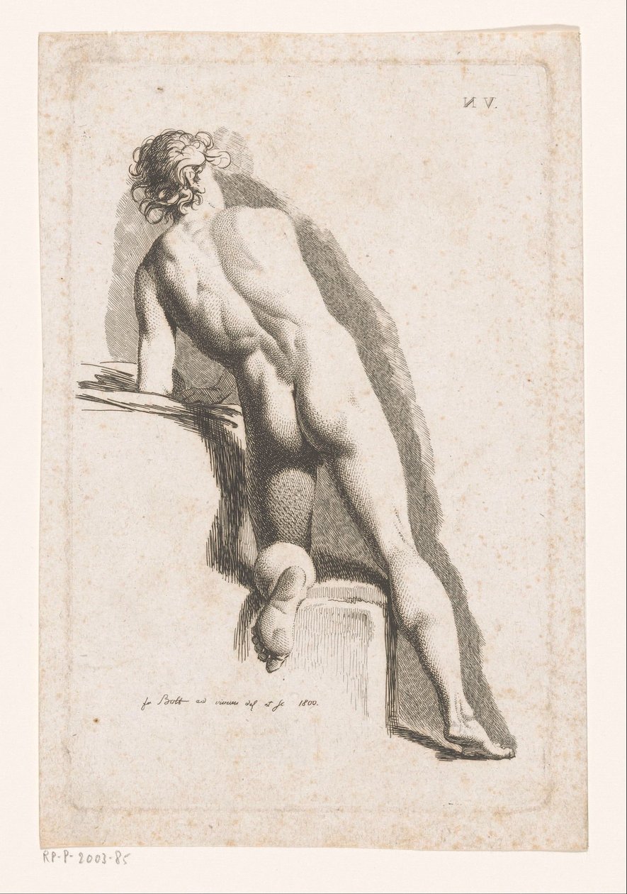 Knästående hane naken, sedd bakifrån av Johann Friedrich Bolt
