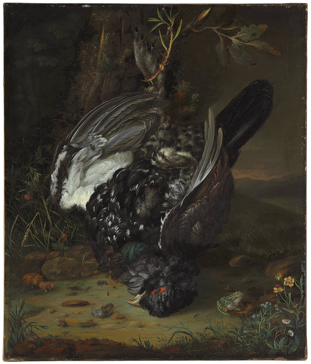 En svarttupp i ett skogslandskap, 1747 av Johann Friedrich von Grooth