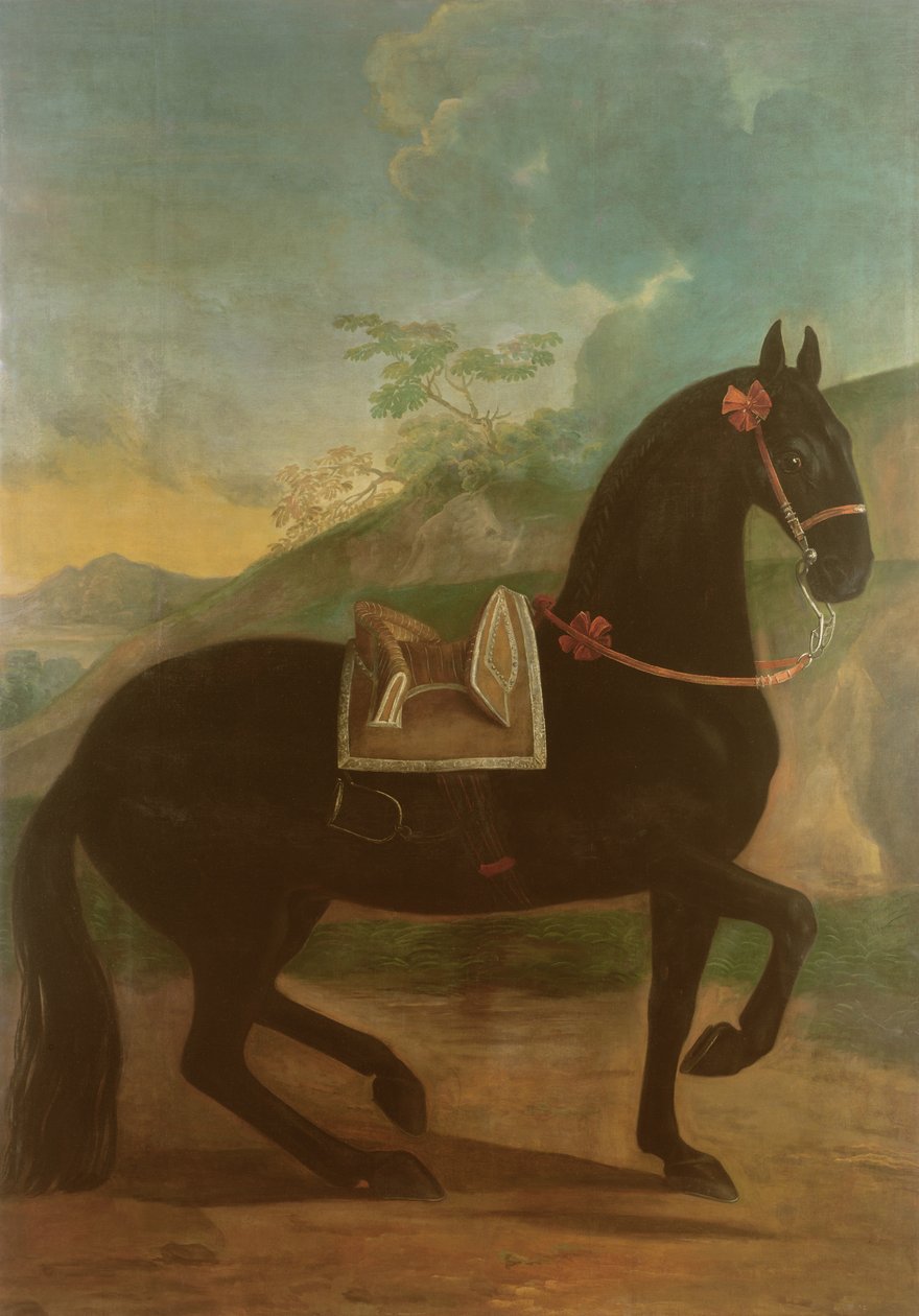 En svart häst med en spansk sadel av Johann Georg Hamilton