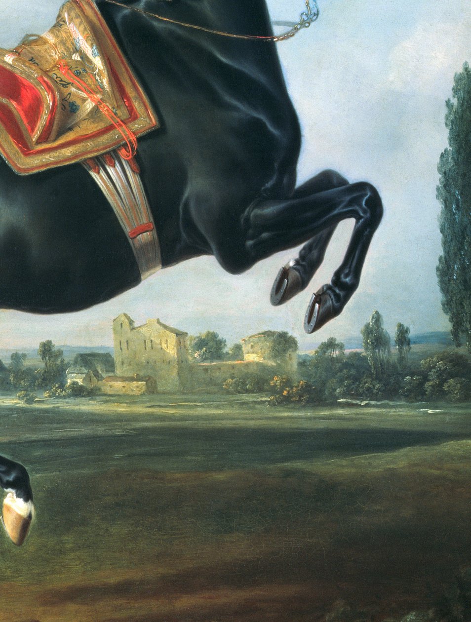 En svart häst som utför Courbette (detalj av 65652) av Johann Georg Hamilton
