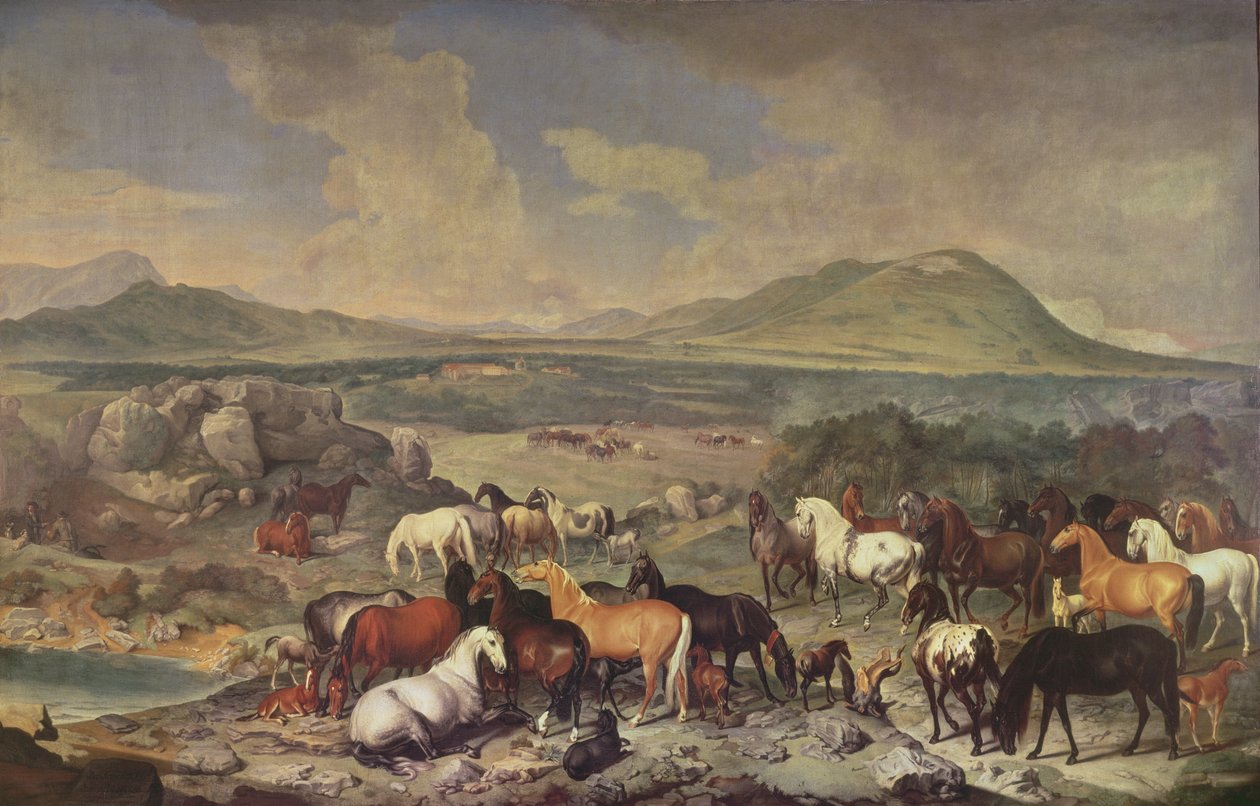 Det kejserliga stuteriet med Lipizzanerhästar av Johann Georg Hamilton