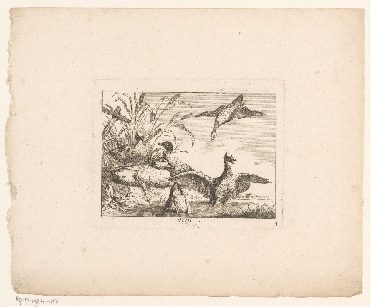 Landskap med sex ankor Fåglar i landskap (serietitel) av Johann Georg Hertel (I) (possibly)
